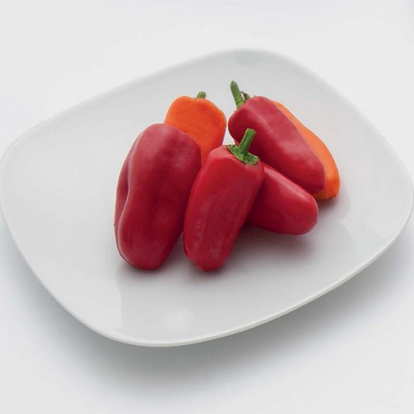 Assiette carrée en porcelaine blanche - L 26 cm