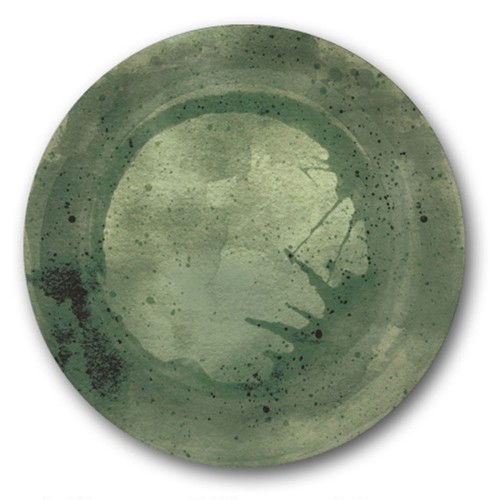 Lot de 6 assiettes à pizza Verde -D 31 cm 2